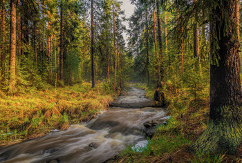 May evening / ***