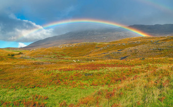 Rainbow / Rainbow