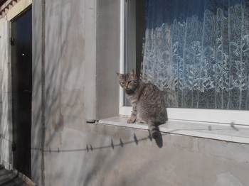 Winter-Skizzen / ***