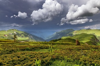 Nach dem Regen / ***