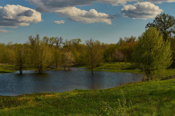 Die Möglichkeit des Austritts / ***