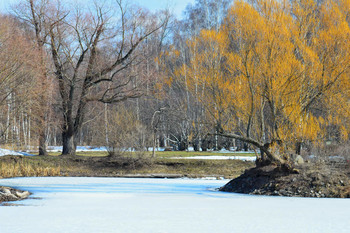 Frühlingsthema / ***