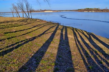 Schatten / ***