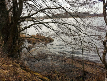By the river / ***