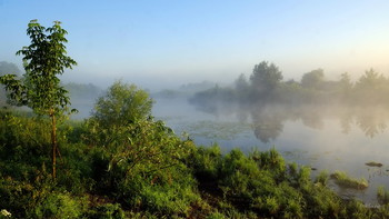 Fog / ***