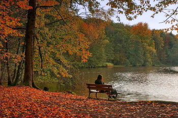 Autumn etude / ---