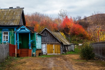 gold autumn / ***