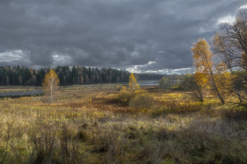 Rampage fallen / ***