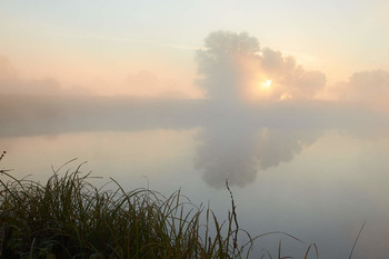 Nebliger Morgen / ***