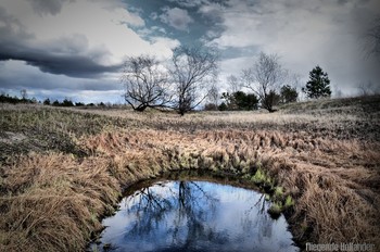 Zwischen Himmel und Wasser / ***