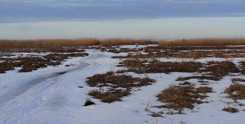 at the end of winter / ***
