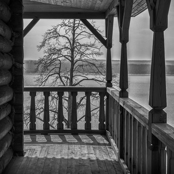 about a tree / ***