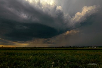 Approaching storm ... / ***