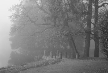 Autumn morning ... / ***