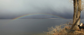 Rainbow / ***