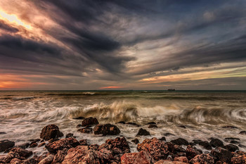 surf / ***