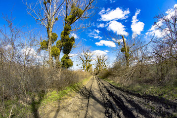 Season of schlechten Straßen / ***
