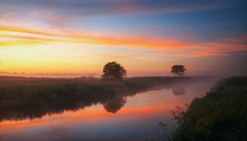 Dawn / ***