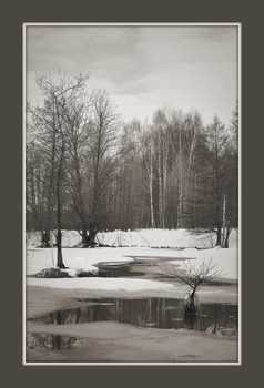 Spring / 2019