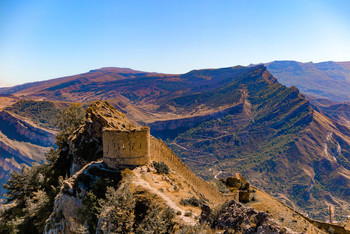 Tower / ***