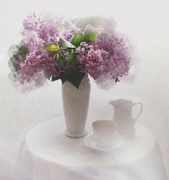 &nbsp; / ......................