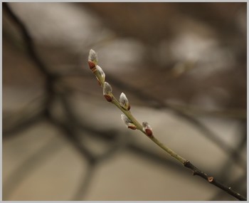 Erwartung / ***