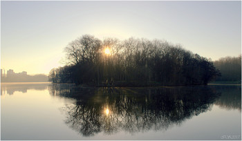 spring morning / ***