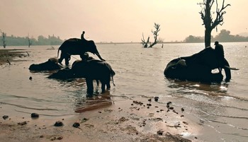 &nbsp; / https://youtu.be/9YrpNHdEKoA