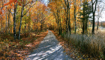  / Baxter State Park - Maine - USA