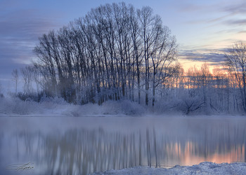 gentle morning / ***