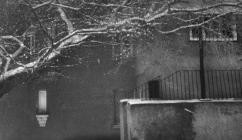 Snow / ***