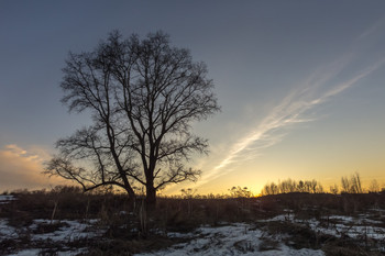 Am Ende des Tages / ***