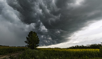 Vor dem Sturm / ***
