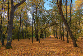 Autumn alley / ***