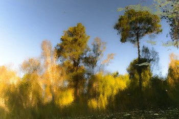 Reflection of autumn / ***