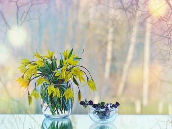 about spring / ***