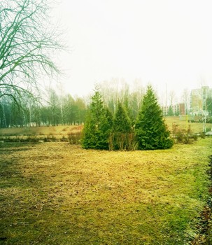 Walk in the park / ***