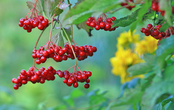 Abschied vom Sommer / ***
