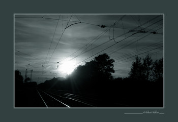 20050828#0001 / ***