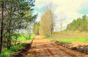 Road / ***