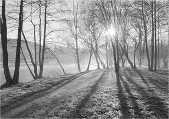 spring morning / ***