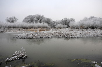 Herbstlandschaft. / ***
