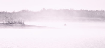 Quiet Hunt ... / ***