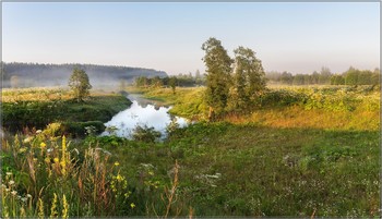 Nebliger Morgen / ***