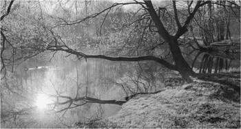 spring morning / ***