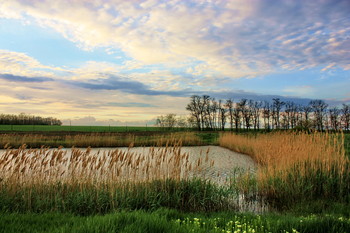 By the pond ... / ***