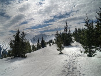 Way to the top / [img]https://i.imgur.com/C9qVVCx.jpg[/img]
[img]https://i.imgur.com/uKDS9LL.jpg[/img]
[img]https://i.imgur.com/Erh0XdK.jpg[/img]
[img]https://i.imgur.com/nyb2AYF.jpg[/img]
[img]https://i.imgur.com/oWI4S6P.jpg[/img]

