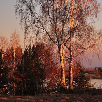 colors of the sunset / ***