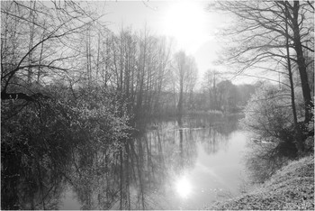 Sunny morning / ***