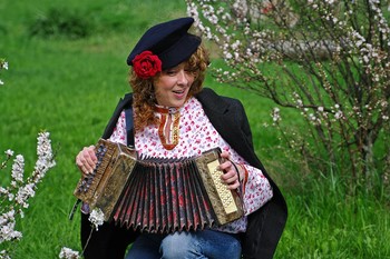 Akkordeonist / ***